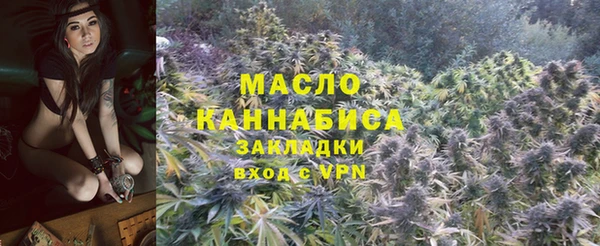 крисы Абдулино