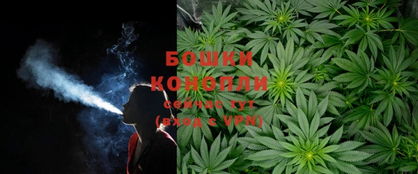 шишки Алзамай