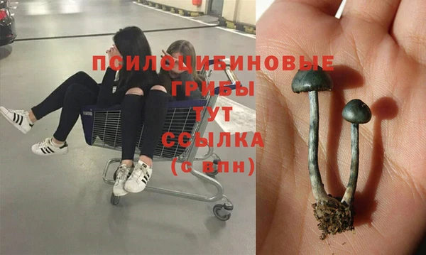 крисы Абдулино