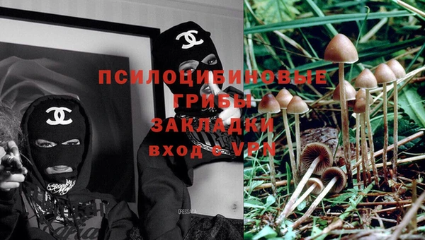 крисы Абдулино